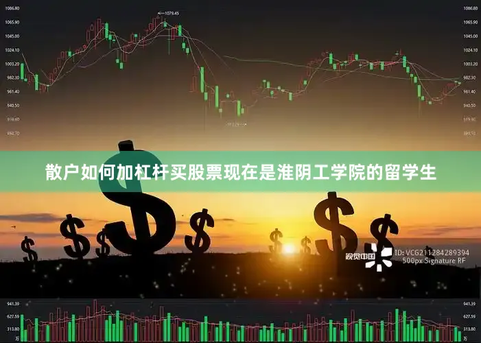 散户如何加杠杆买股票现在是淮阴工学院的留学生